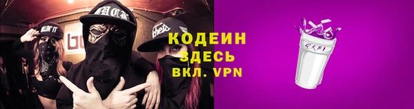 мет Карпинск