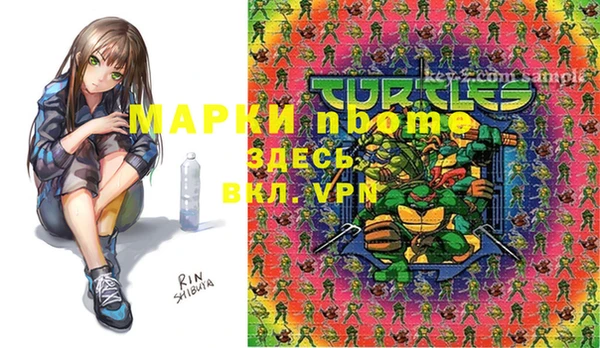 мет Карпинск