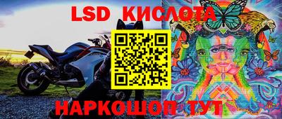 a pvp Кимры
