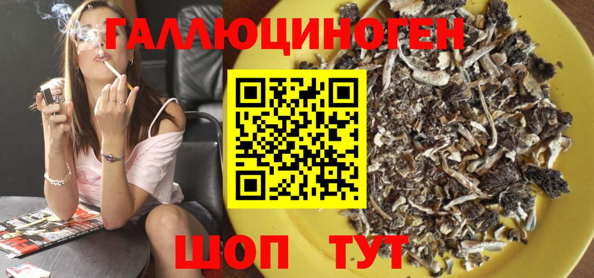 Псилоцибиновые грибы Psilocybine cubensis  Псилоцибиновые грибы Psilocybine cubensis  Вход с VPN  Семилуки 
